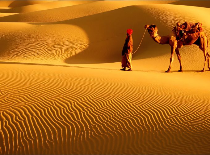 One of the Best Travel Agency  in INDIA