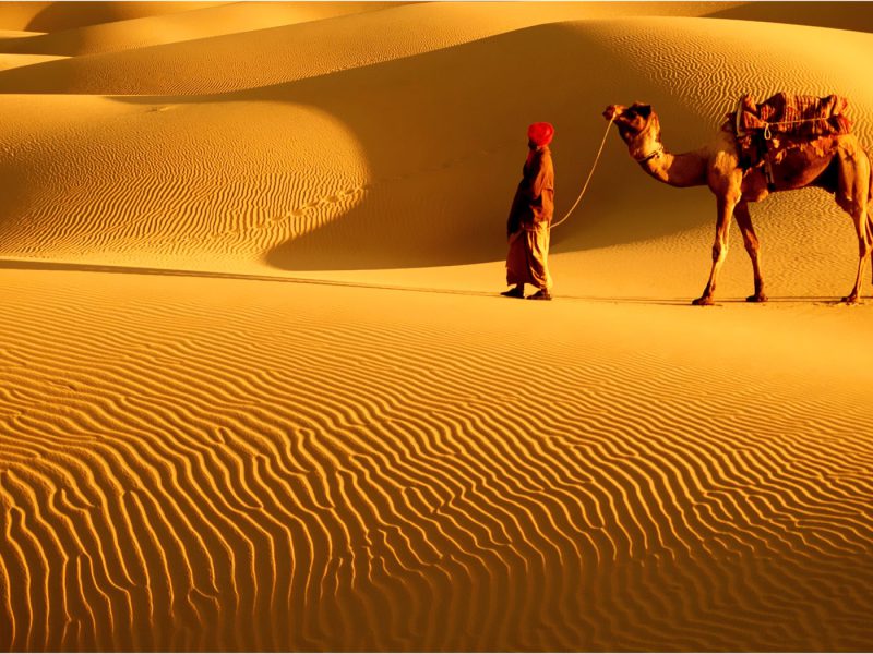 One of the Best Travel Agency  in INDIA