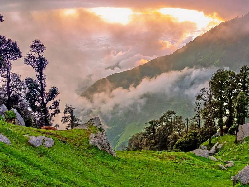 One of the Best Travel Agency  in INDIA
